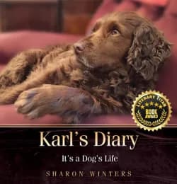 Published Book 1